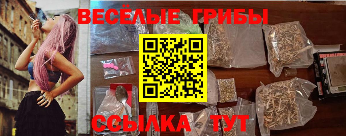 Галлюциногенные грибы мухоморы Костомукша