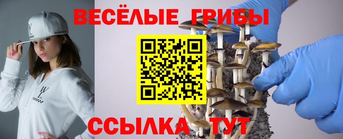 Галлюциногенные грибы Psilocybe  Вход с VPN  Костомукша 